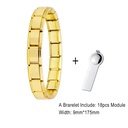 Stainless Steel Elastic Bracelet with Tool Italian Charm Lin 2